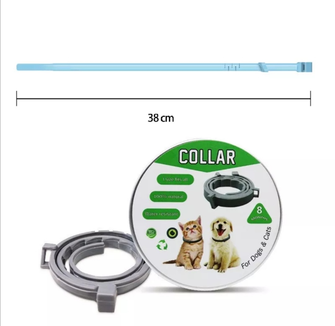 Antiparazitální 8 měsíční obojek pro kočky a malá plemena psů 