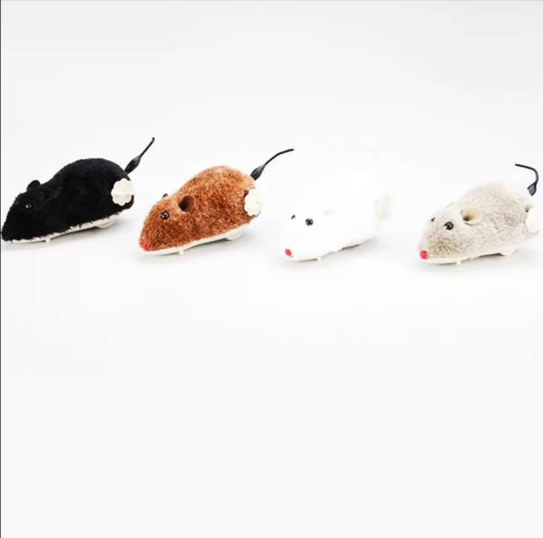 Natahovací myš pro kočky