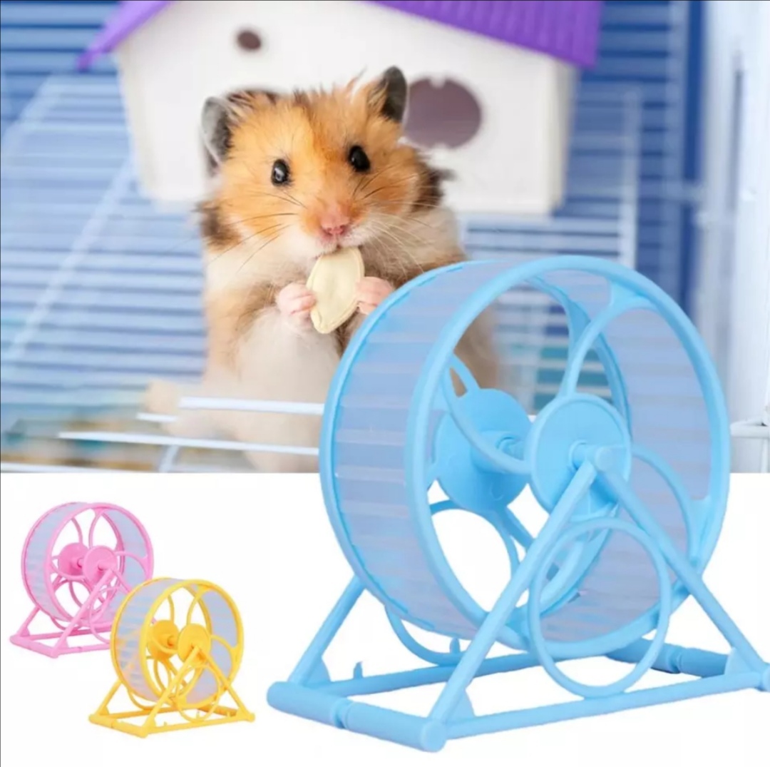 Kolotoč pro hlodavce 