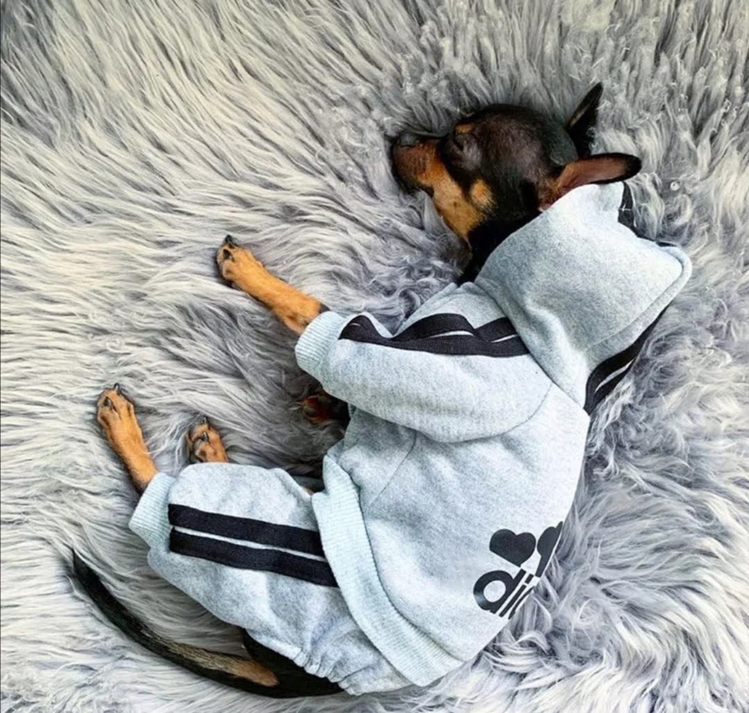 Souprava Adidog pro pejsky