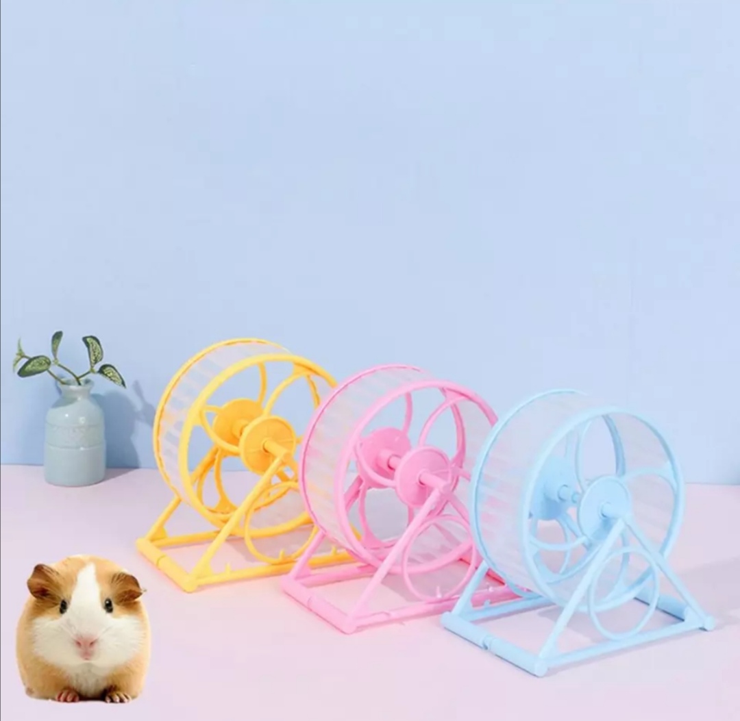 Kolotoč pro hlodavce 