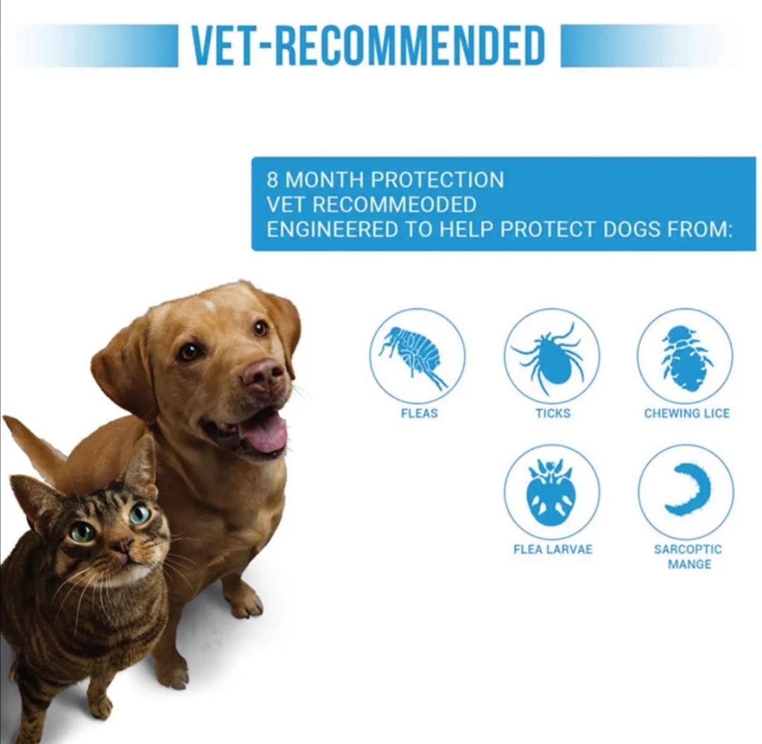 Antiparazitální 8 měsíční obojek pro kočky a malá plemena psů 