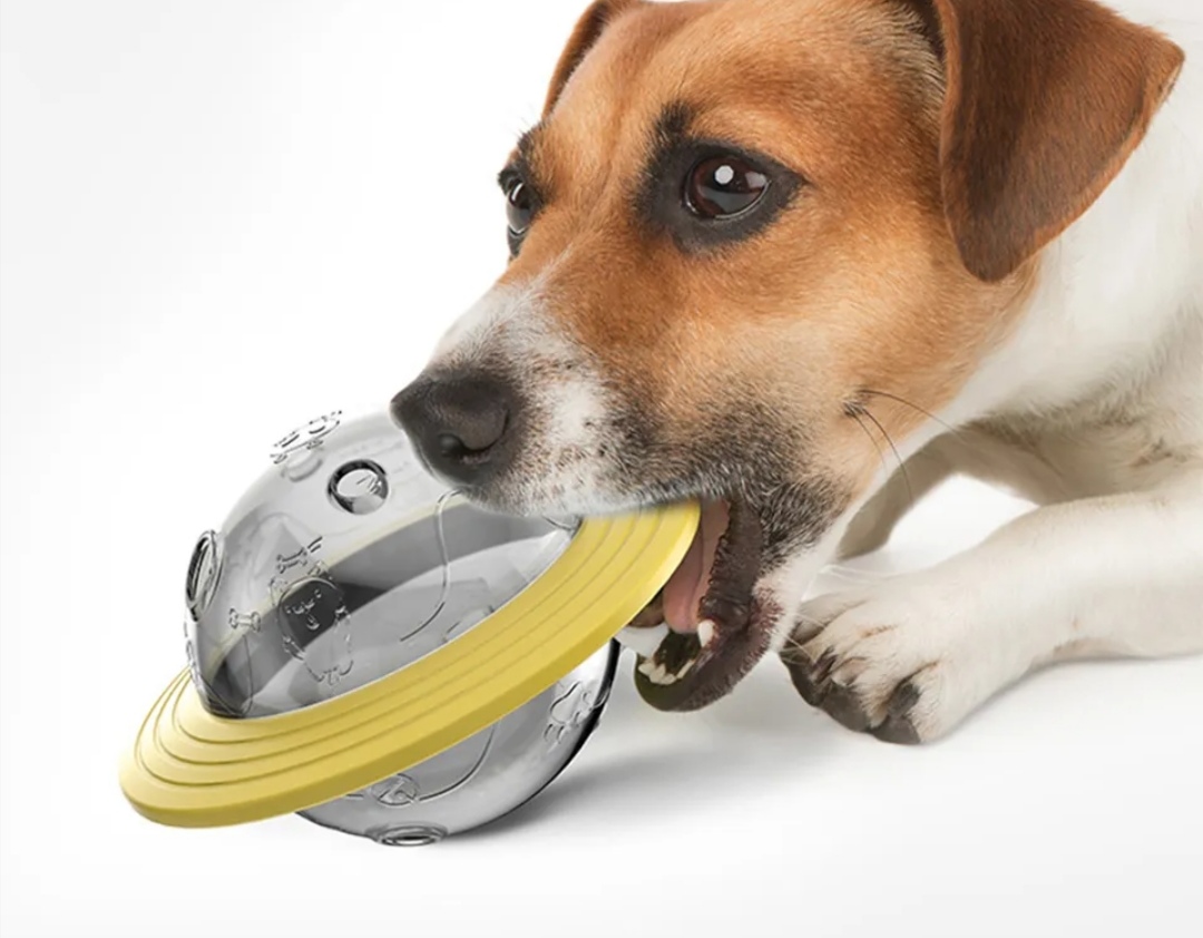 Zásobník na pamlsky pro pejsky létající talíř 