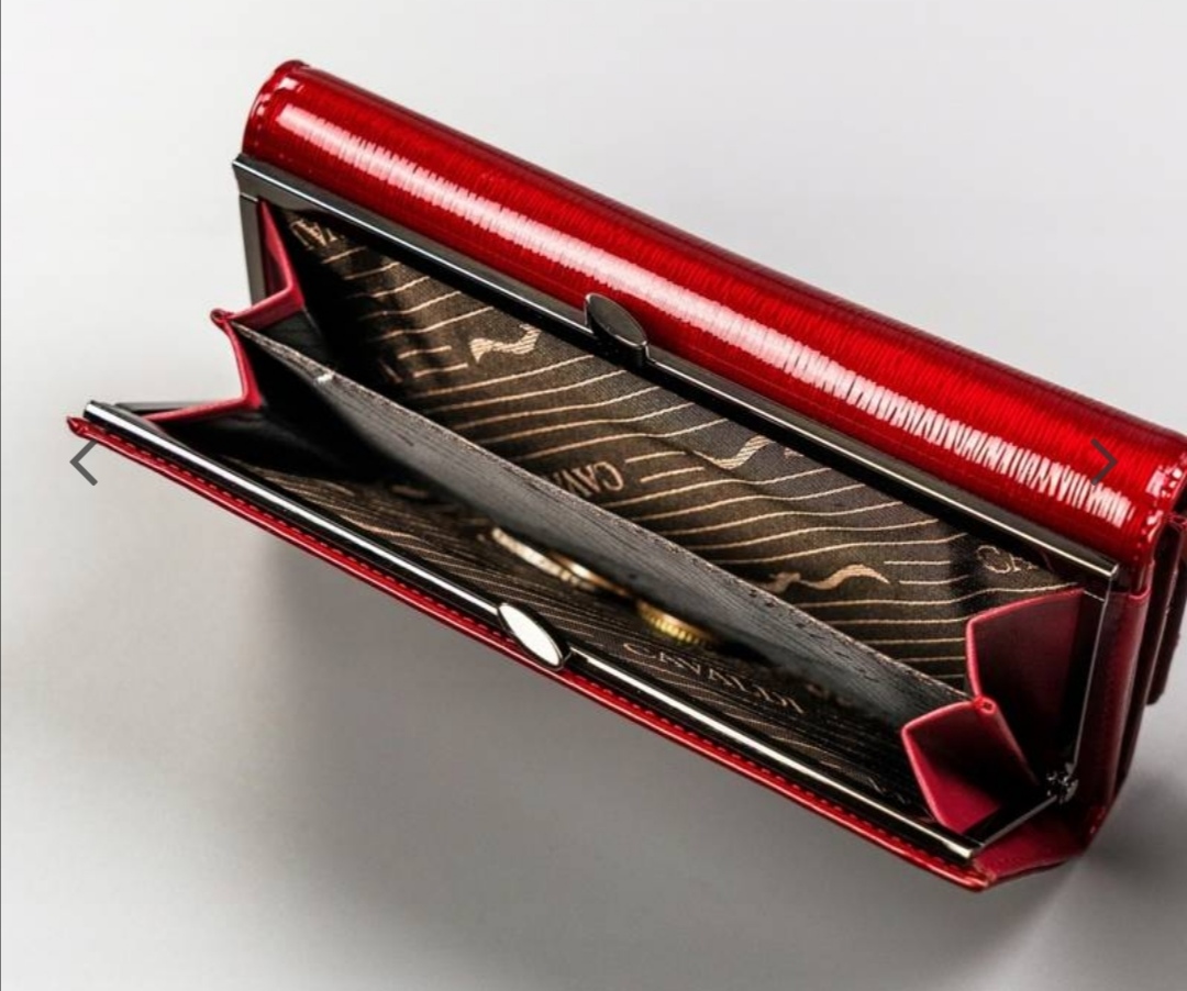 Prostorná dámská kožená lakovaná peněženka Cavaldi s černým pruhem 