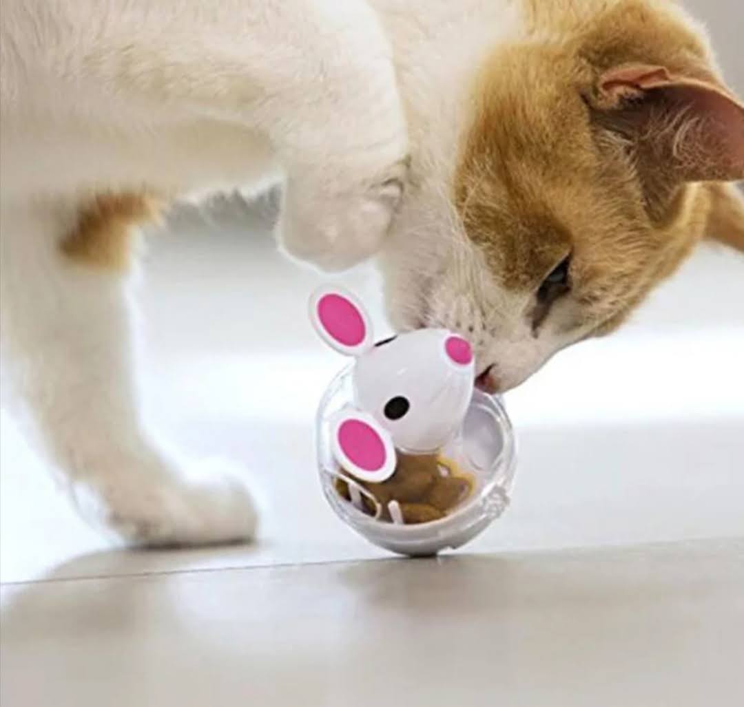 Myš - zásobník na pamlsky