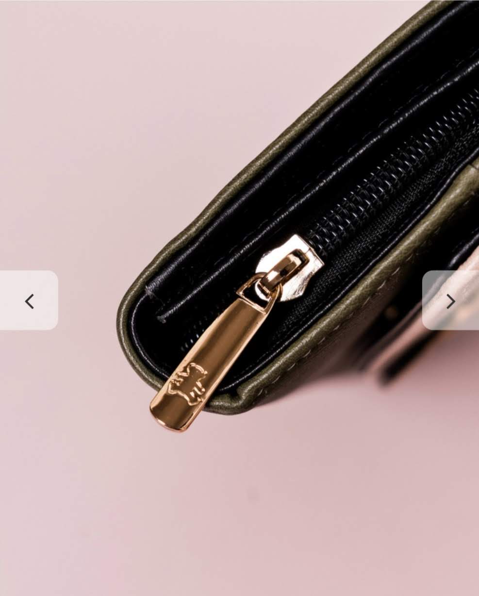 Velká dámská peněženka Lulu Castagnette zelená