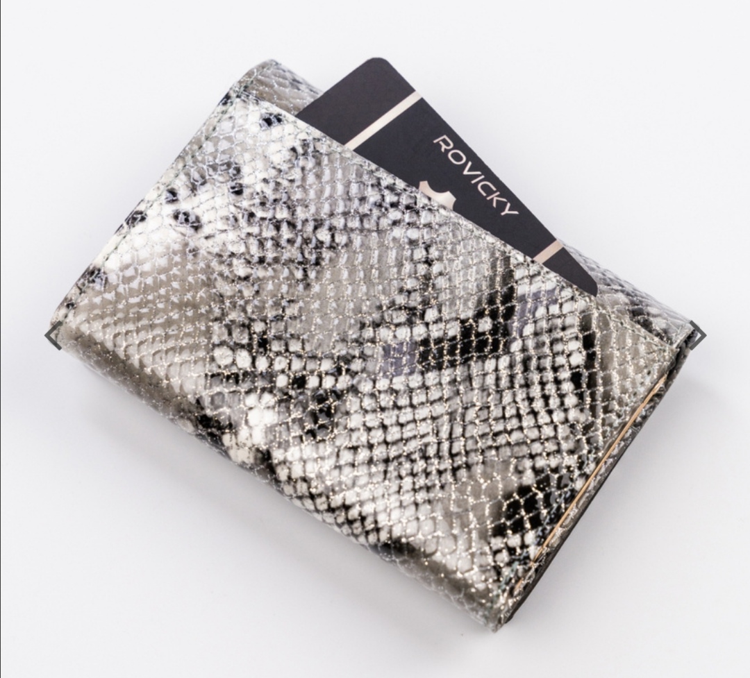 Střední dámská kožená lakovaná peněženka Rovicky stříbrná 