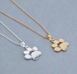 Řetízek s přívěskem tlapky