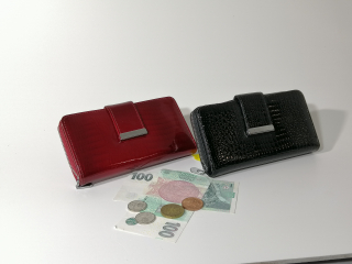 Kožená velká lakovaná peněženka hadí vzor 01-9602