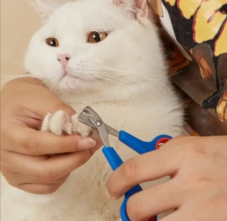 Praktické nůžky na zastřihování drápků